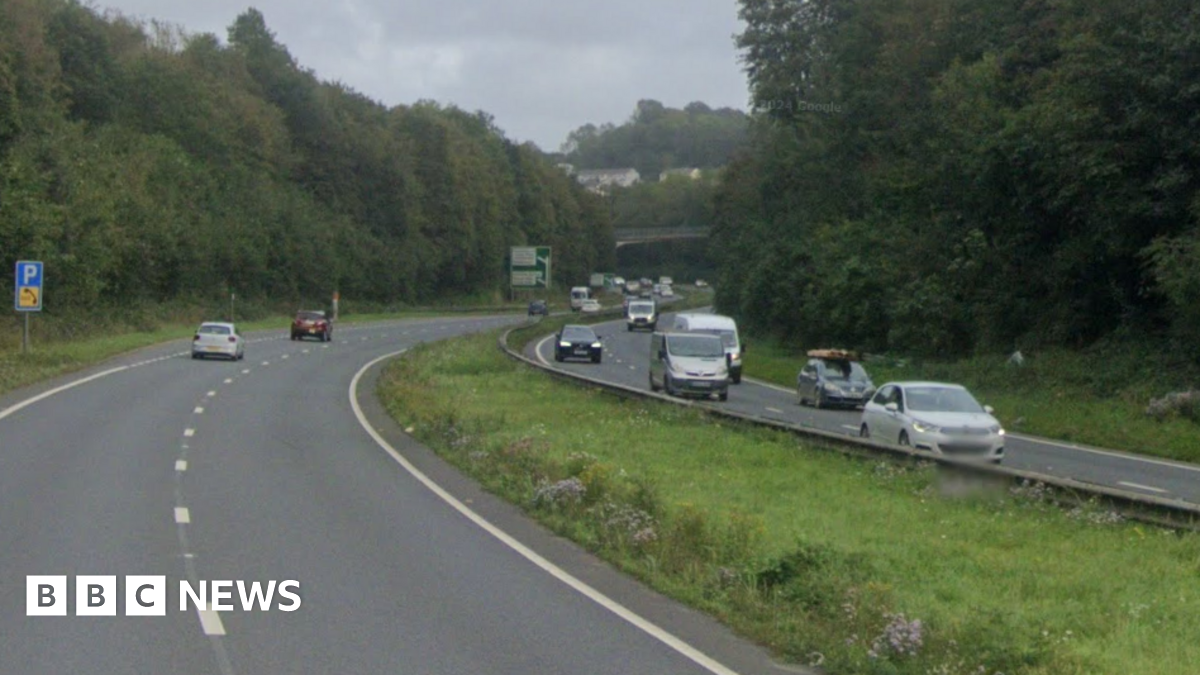 Injured deer causes A38 closure in Plymouth