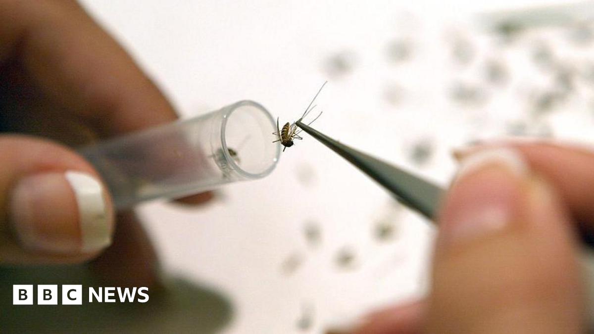 West Nile virus detected in UK mosquitoes for first time