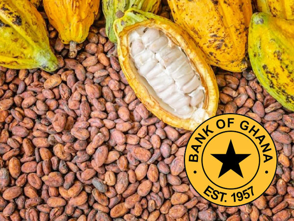 Ghana’s Cocoa Export Earnings Triple to $1.8 Billion in Early 2025 — Bank of Ghana
